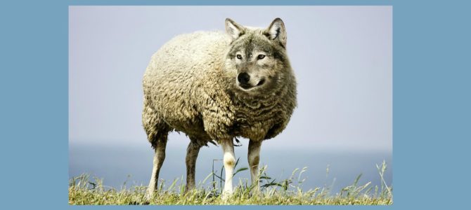 Detecting a Wolf in Sheep’s Clothing (Part 1)