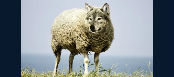Detecting a Wolf in Sheep’s Clothing (Part 2)