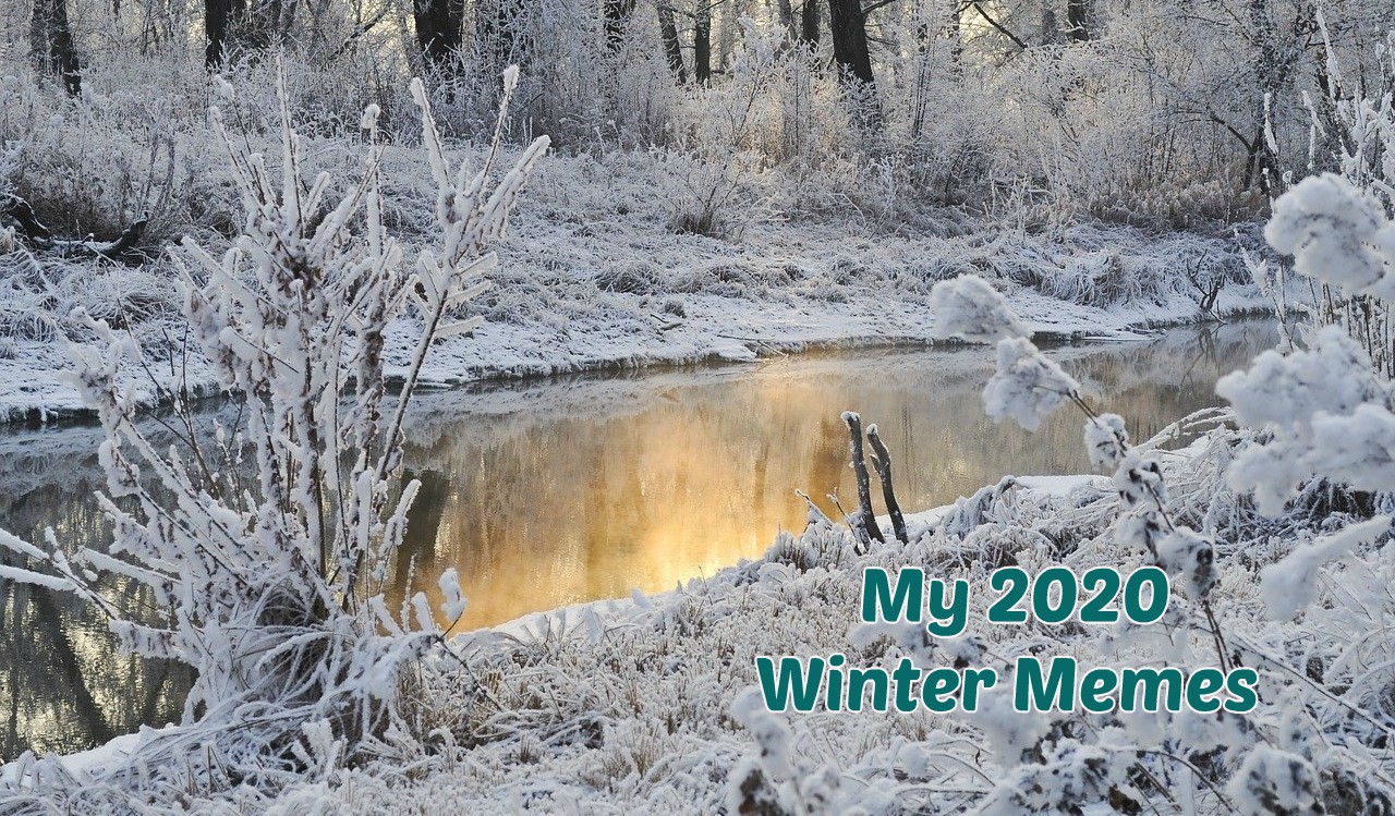 My 2020 Winter Memes