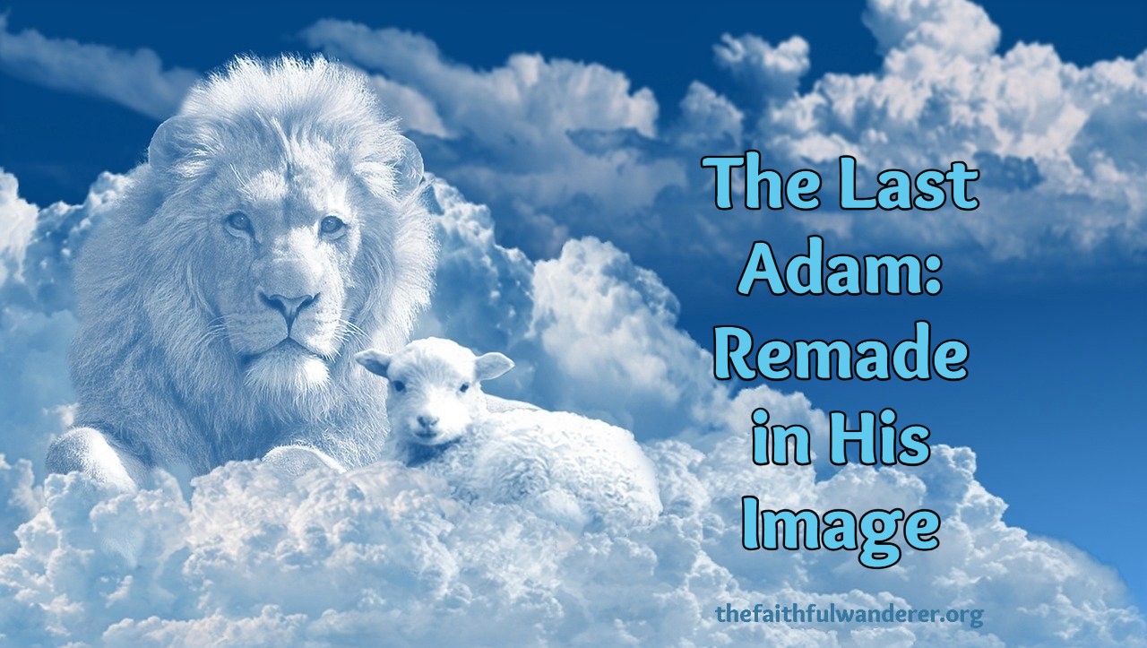 The Last Adam: Remade in His Image