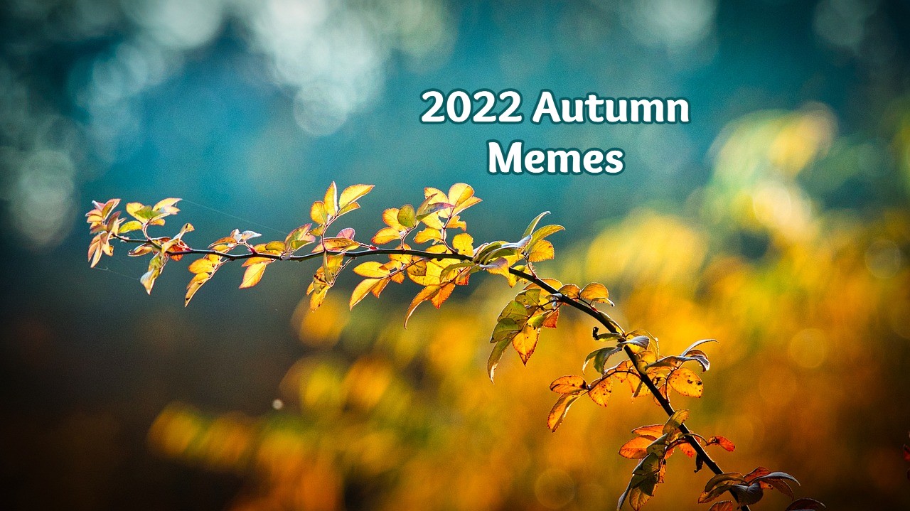 2022 Autumn Memes