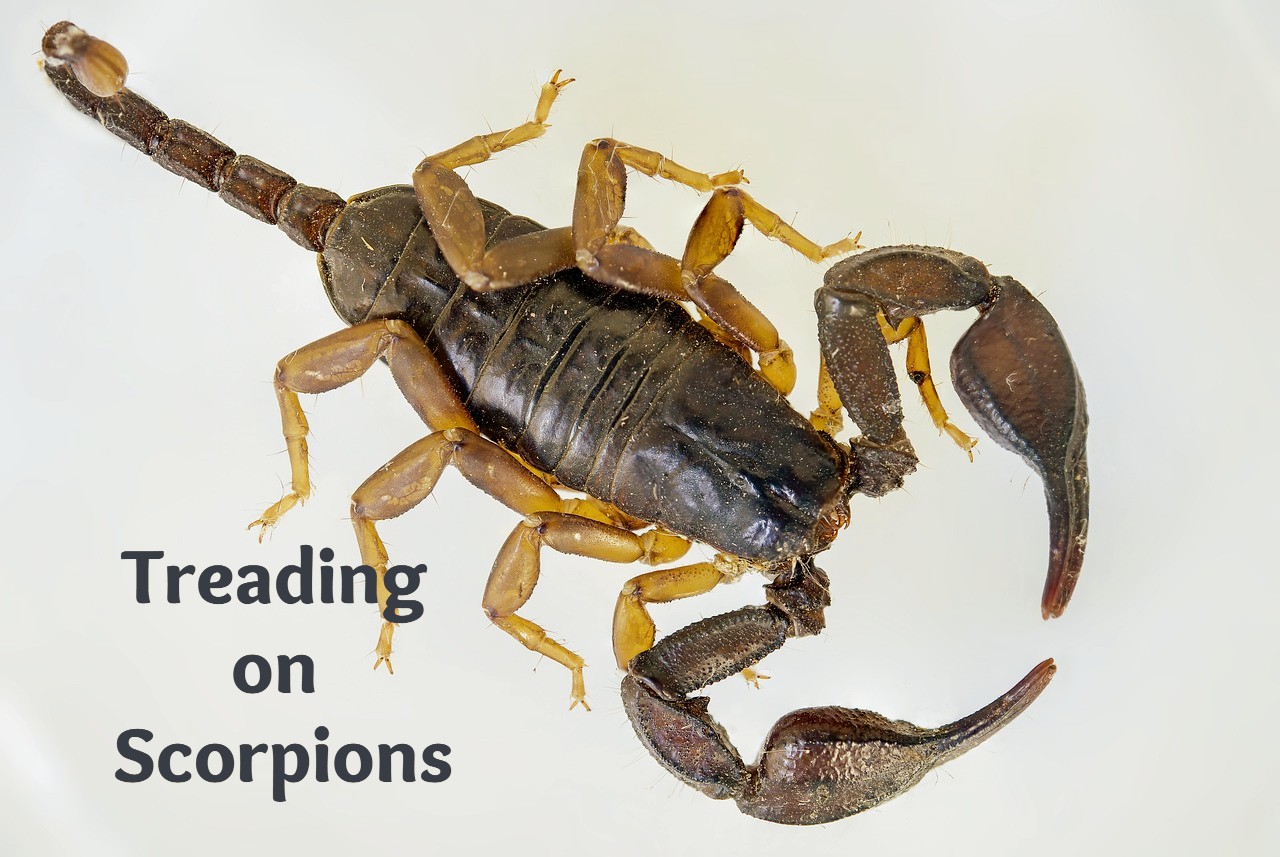 Treading on Scorpions