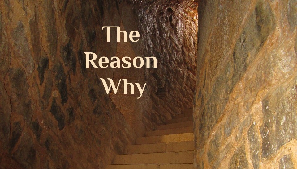 The Reason Why