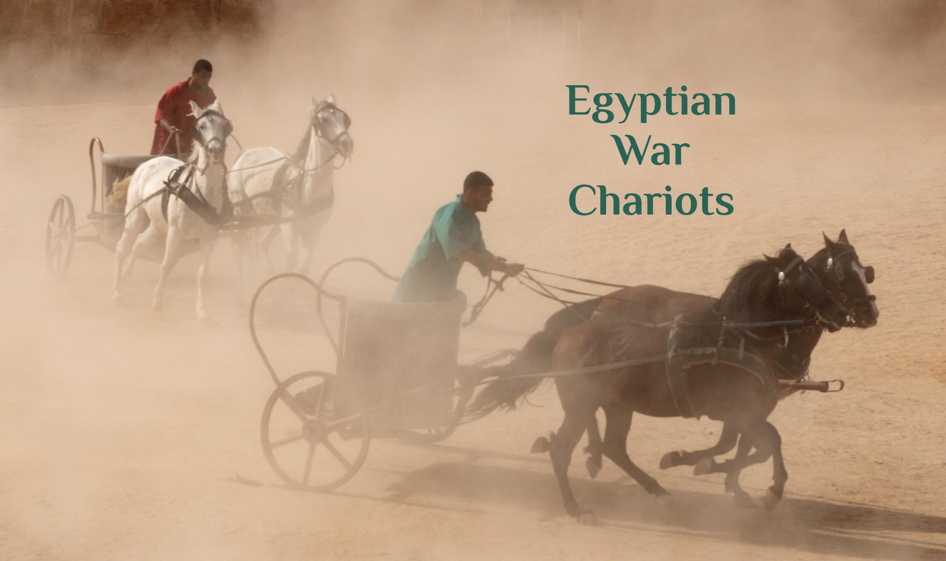 Egyptian War Chariots