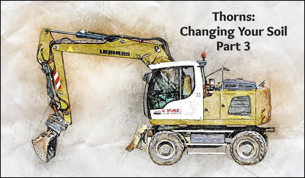 Thorns: Changing Your Soil Part 3