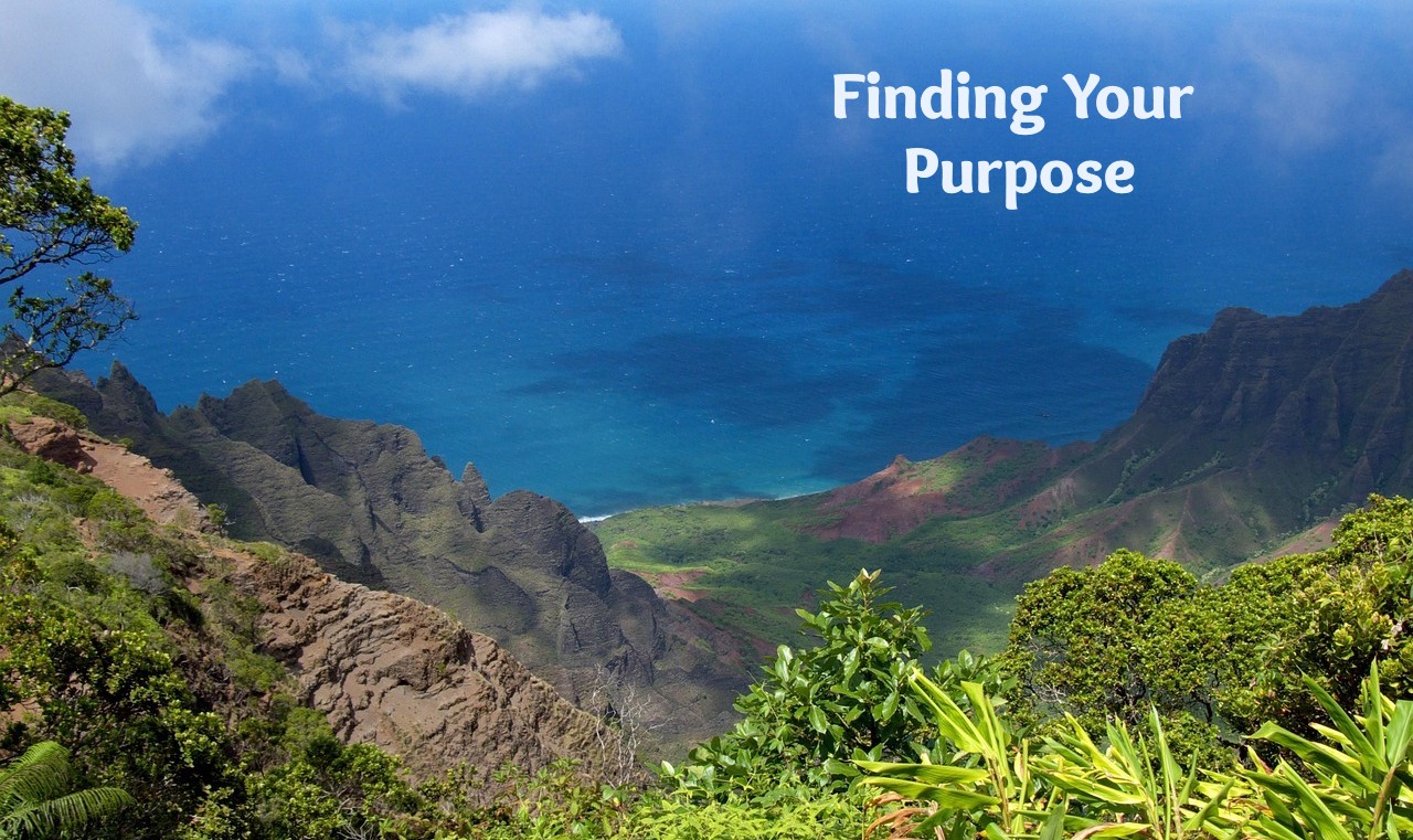 Finding Your Purpose