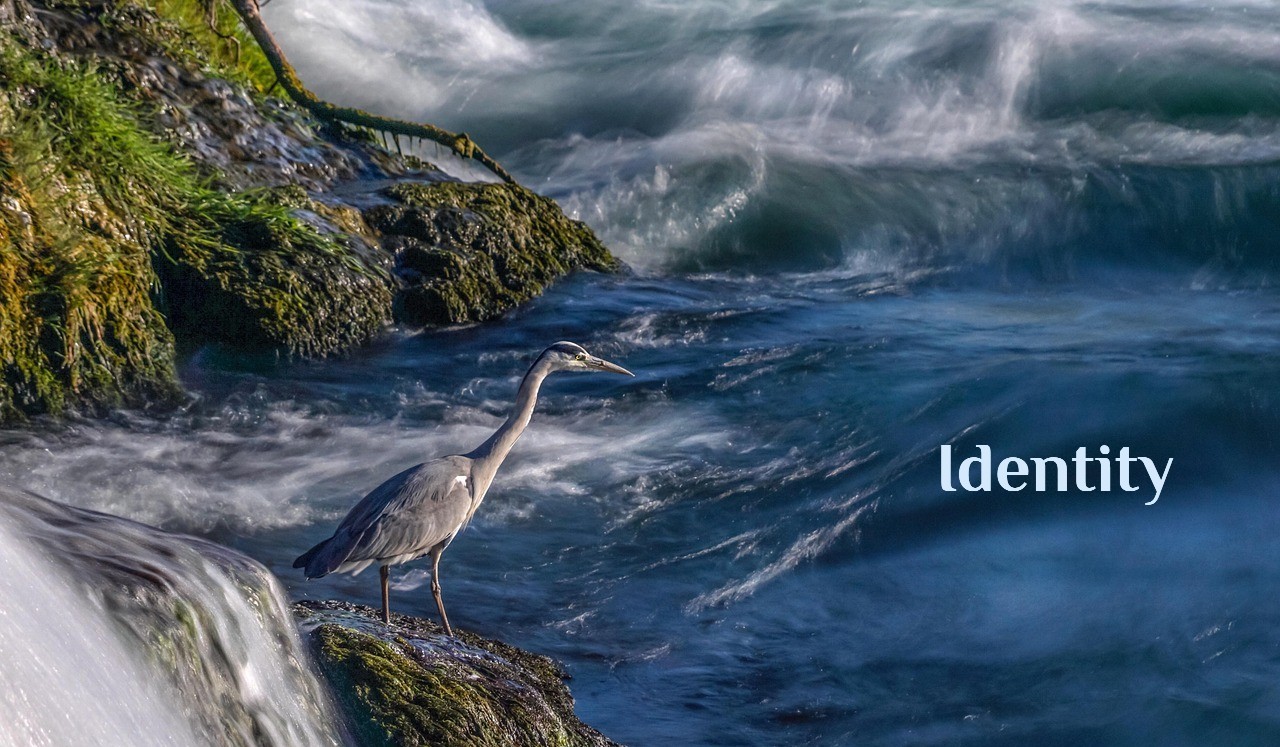 Identity