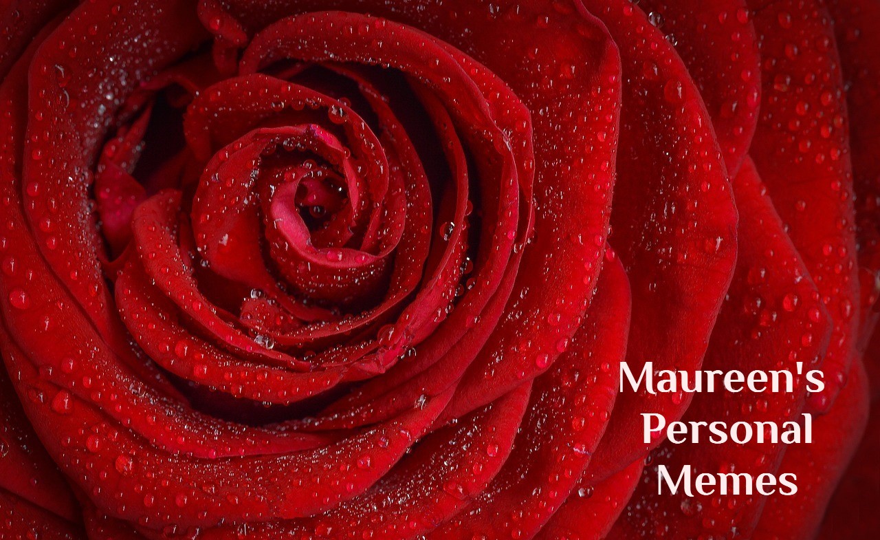 Maureen’s Personal Memes