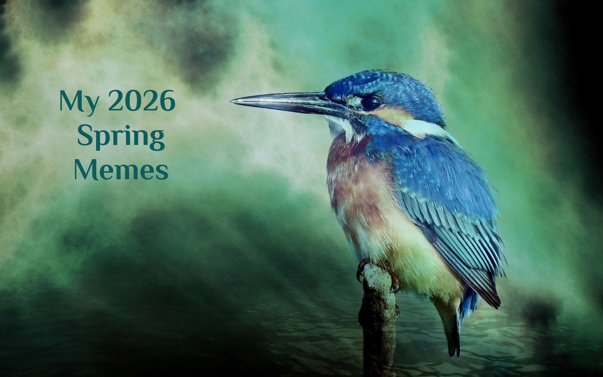 My 2026 Spring Memes