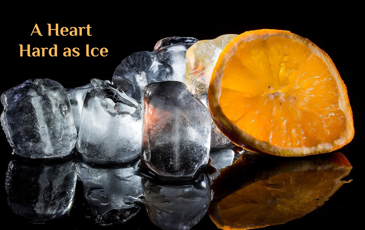 A Heart Hard as Ice