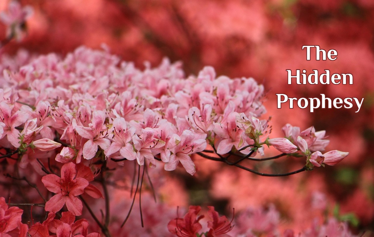 The Hidden Prophesy