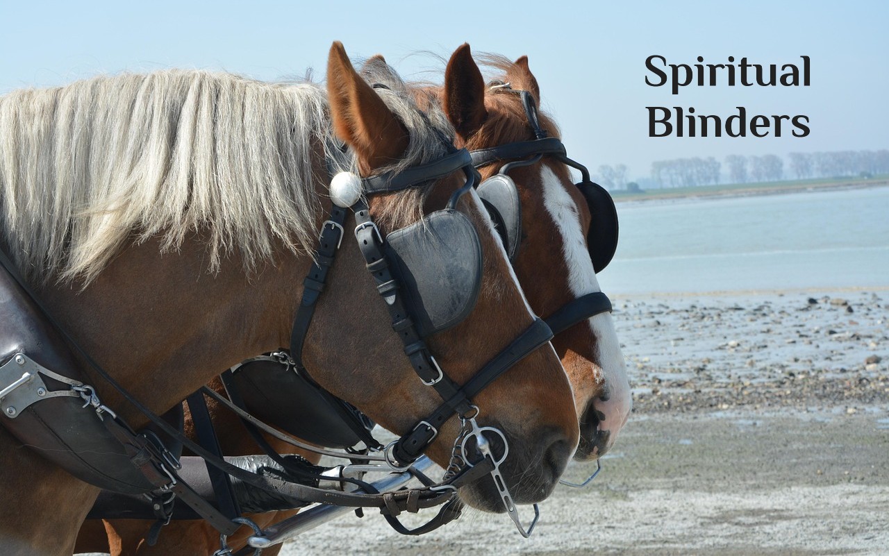 Spiritual Blinders Spiritual Blinders