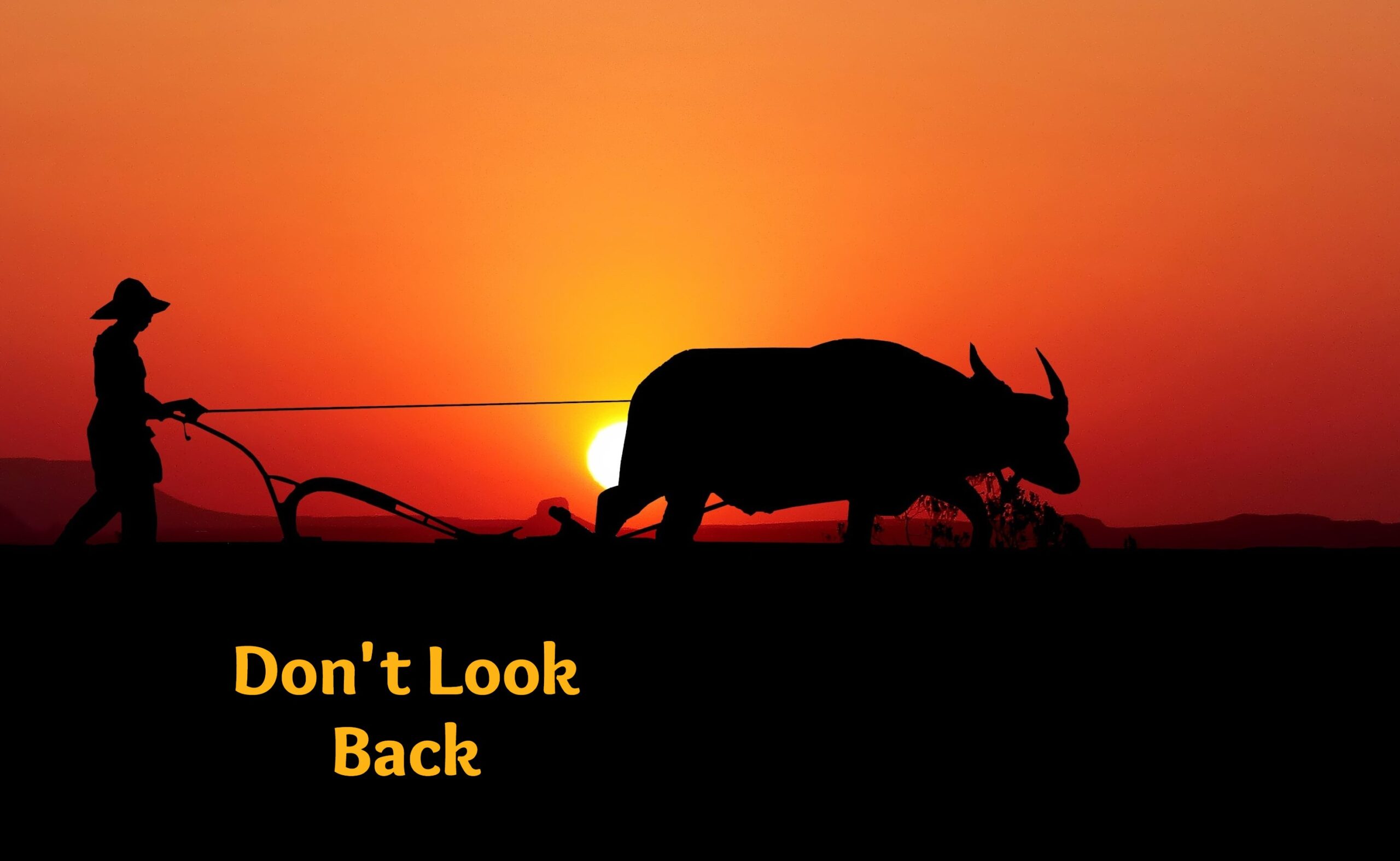 Don’t Look Back