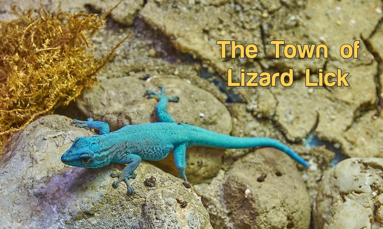 The Town of Lizard Lick The Town of Lizard Lick